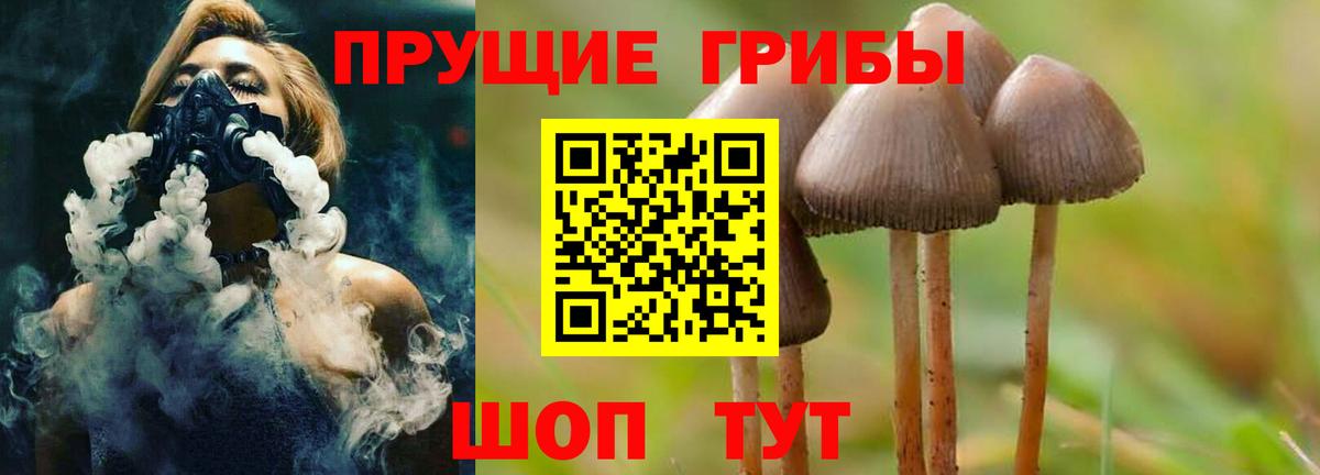 Галлюциногенные грибы мухоморы  Вход с VPN  Псилоцибиновые грибы Magic Shrooms  Зеленокумск 